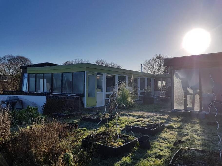 Out Of Amsterdam, River Apartment Close To City Broek in Waterland Eksteriør billede
