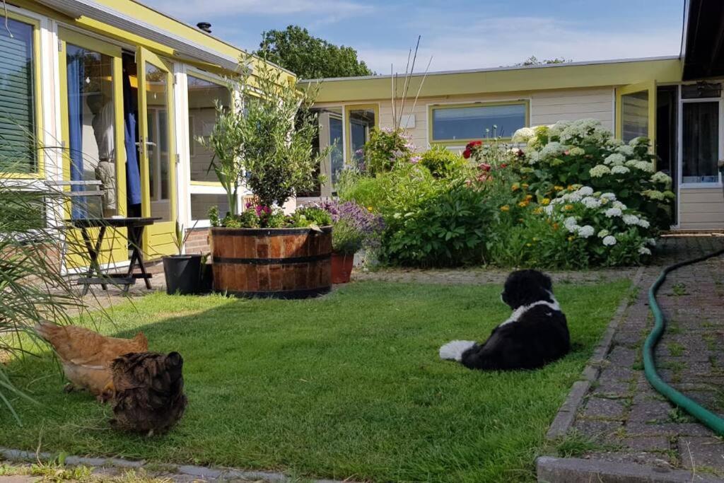 Out Of Amsterdam, River Apartment Close To City Broek in Waterland Eksteriør billede