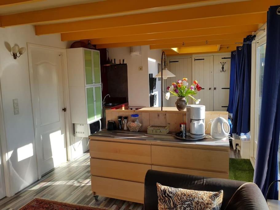 Out Of Amsterdam, River Apartment Close To City Broek in Waterland Eksteriør billede